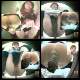 An excellent, high-quality, Japanese bowlcam video production featuring multiple scenes of women pooping huge turds into a public floor toilet. Some scenes are replays from different angles. 783MB, MP4 file. About 2 hours.